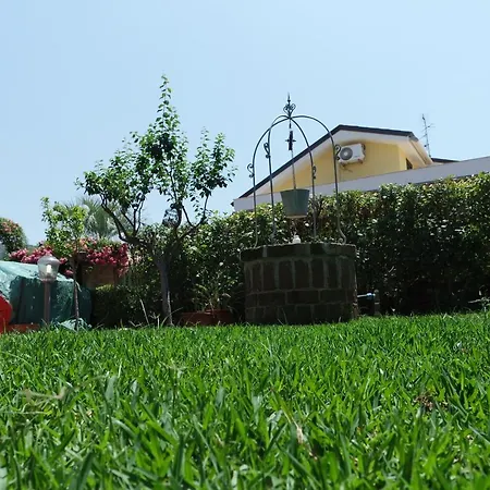 Dell'ulivo * Ascea