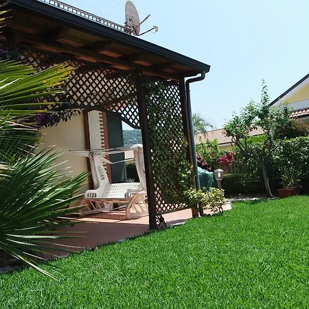 Dell'ulivo Ascea